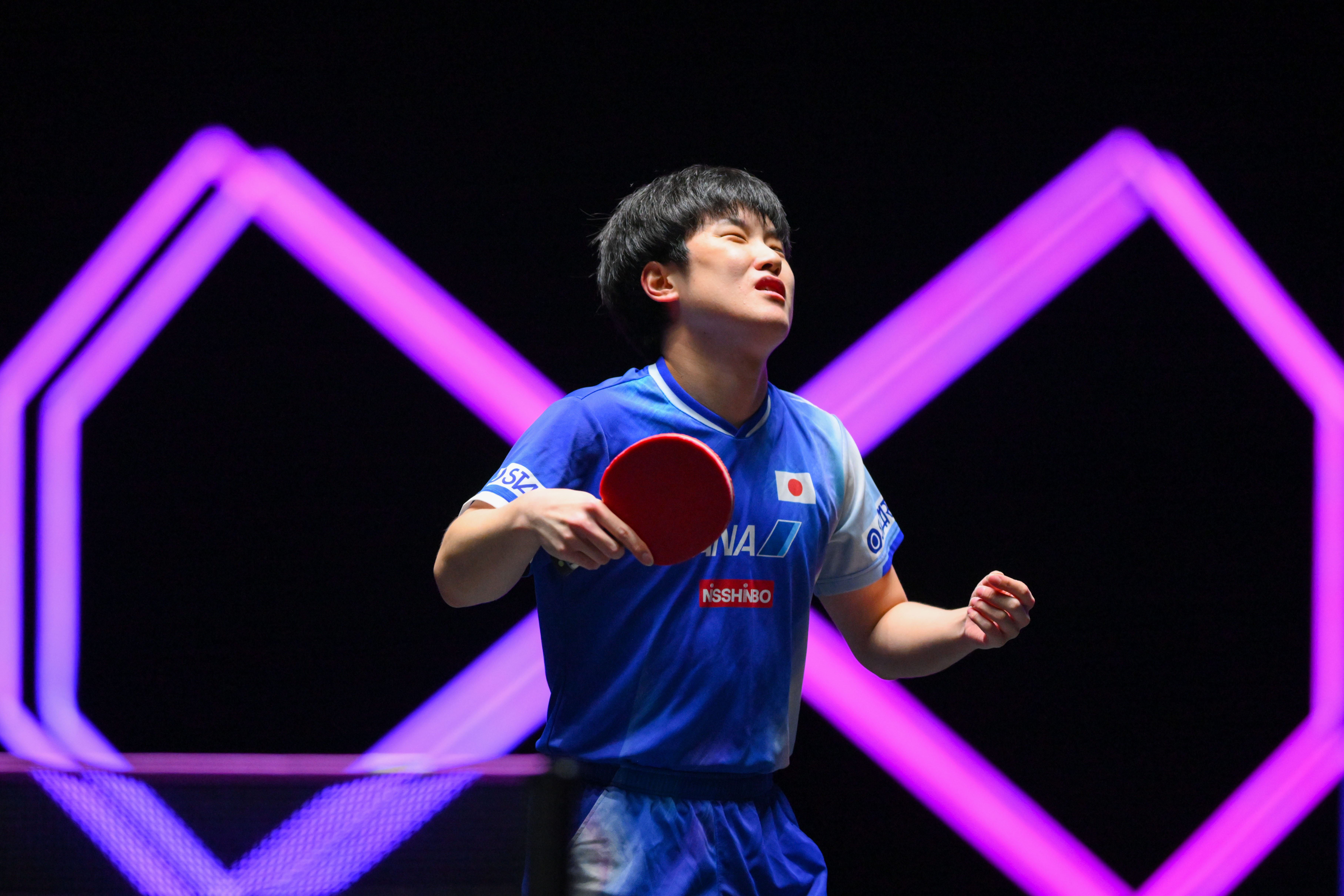 包含德国乒乓球队轻取瑞典乒乓球队，张本智和关键制胜的词条