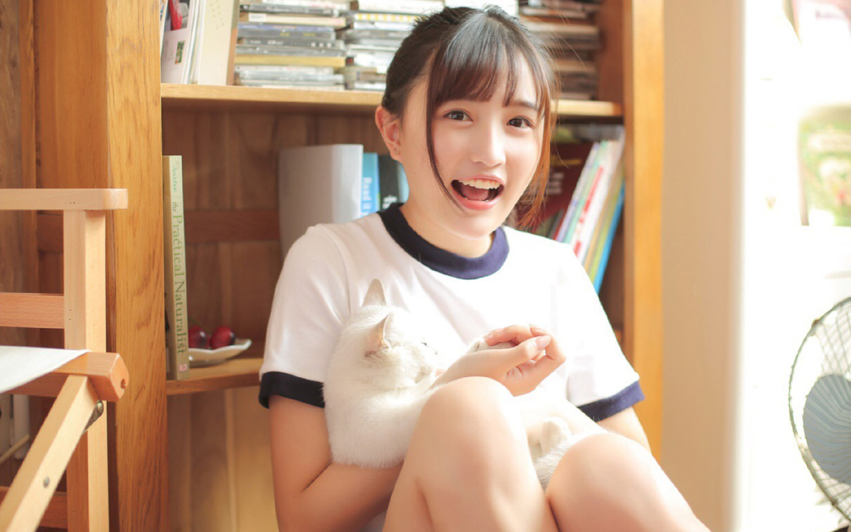 开云下载-狼群撕裂北境！浓眉一剑封喉，森林狼鏖战擒龙