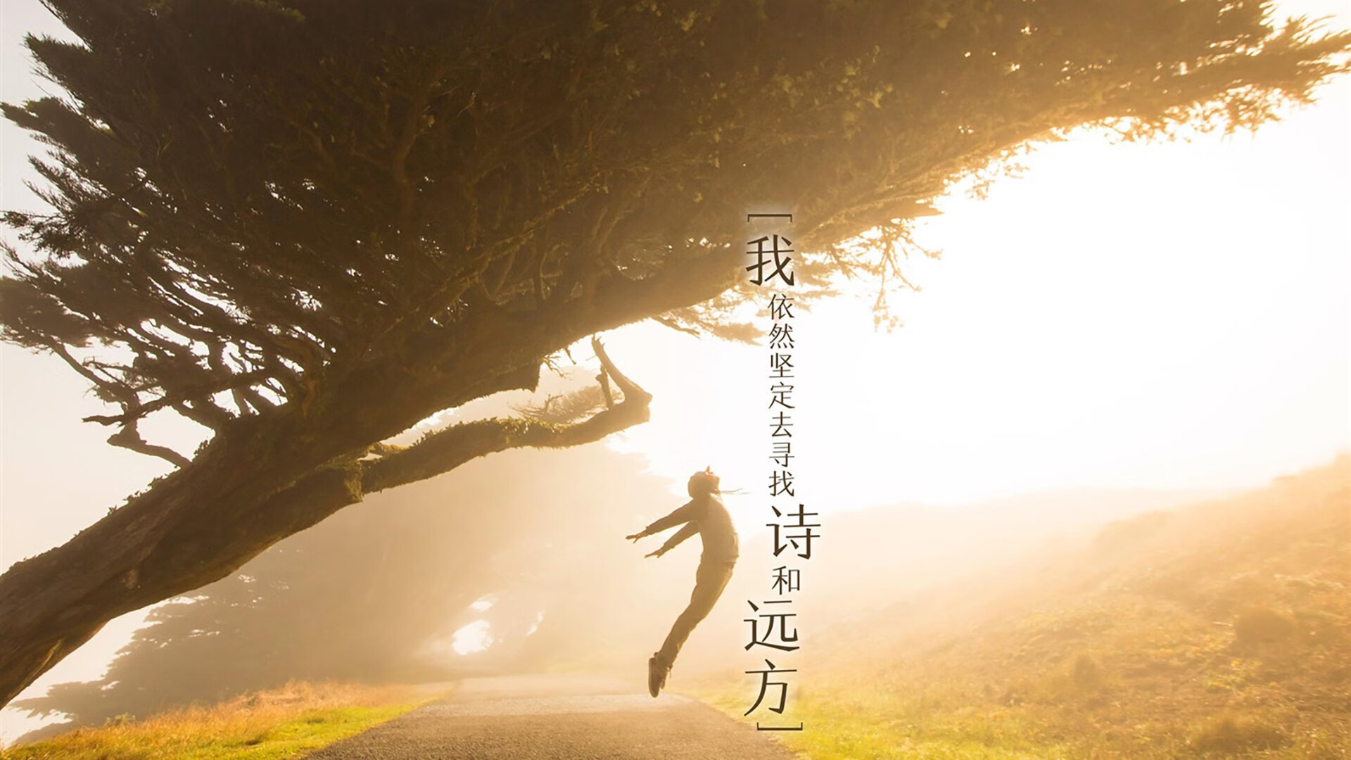 平台-赛道无界，F1街道赛的轰鸣与字母哥的无声征程