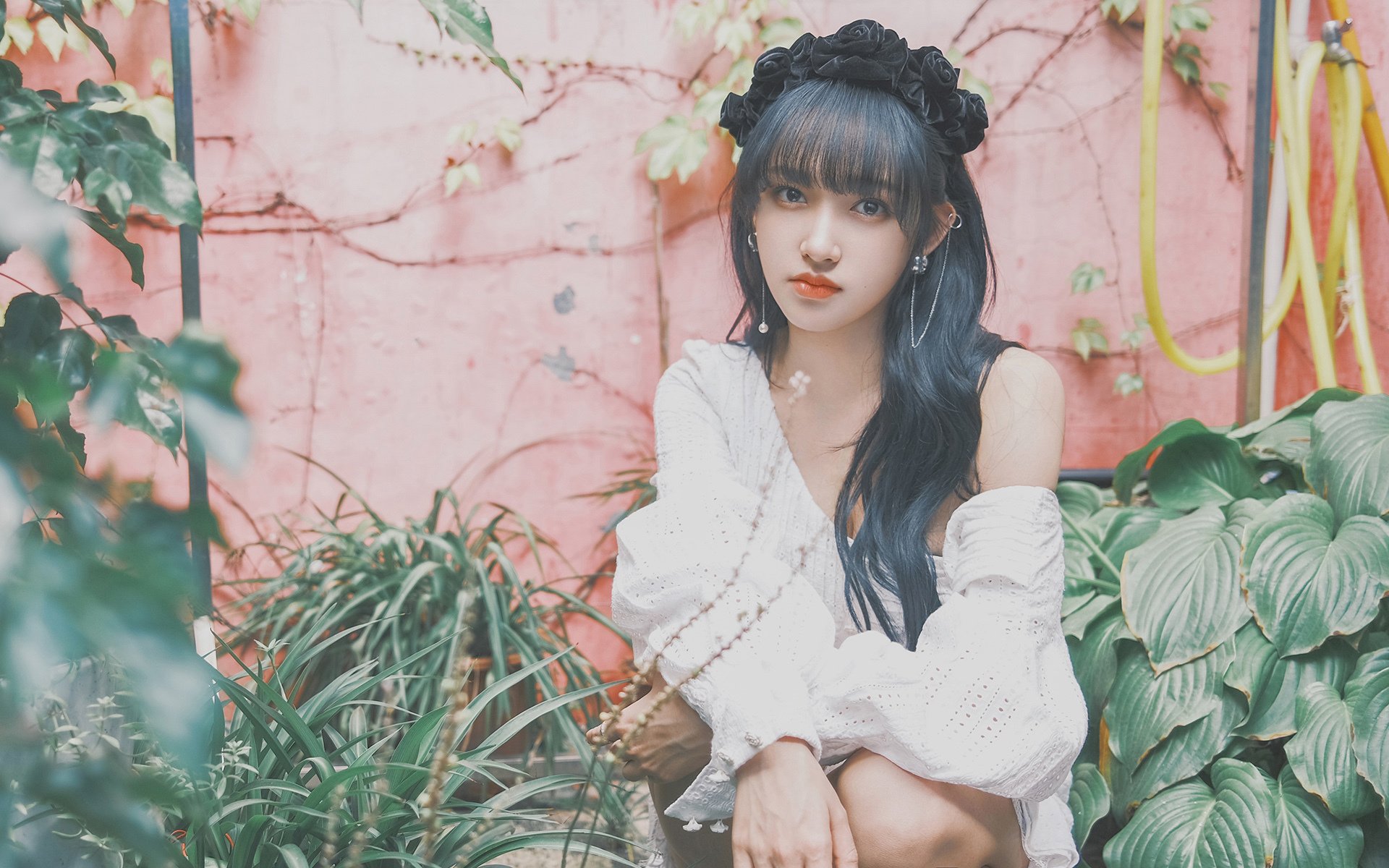 绿茵前夕的北境咆哮,当森林狼在世界杯焦点战中粉碎开拓者