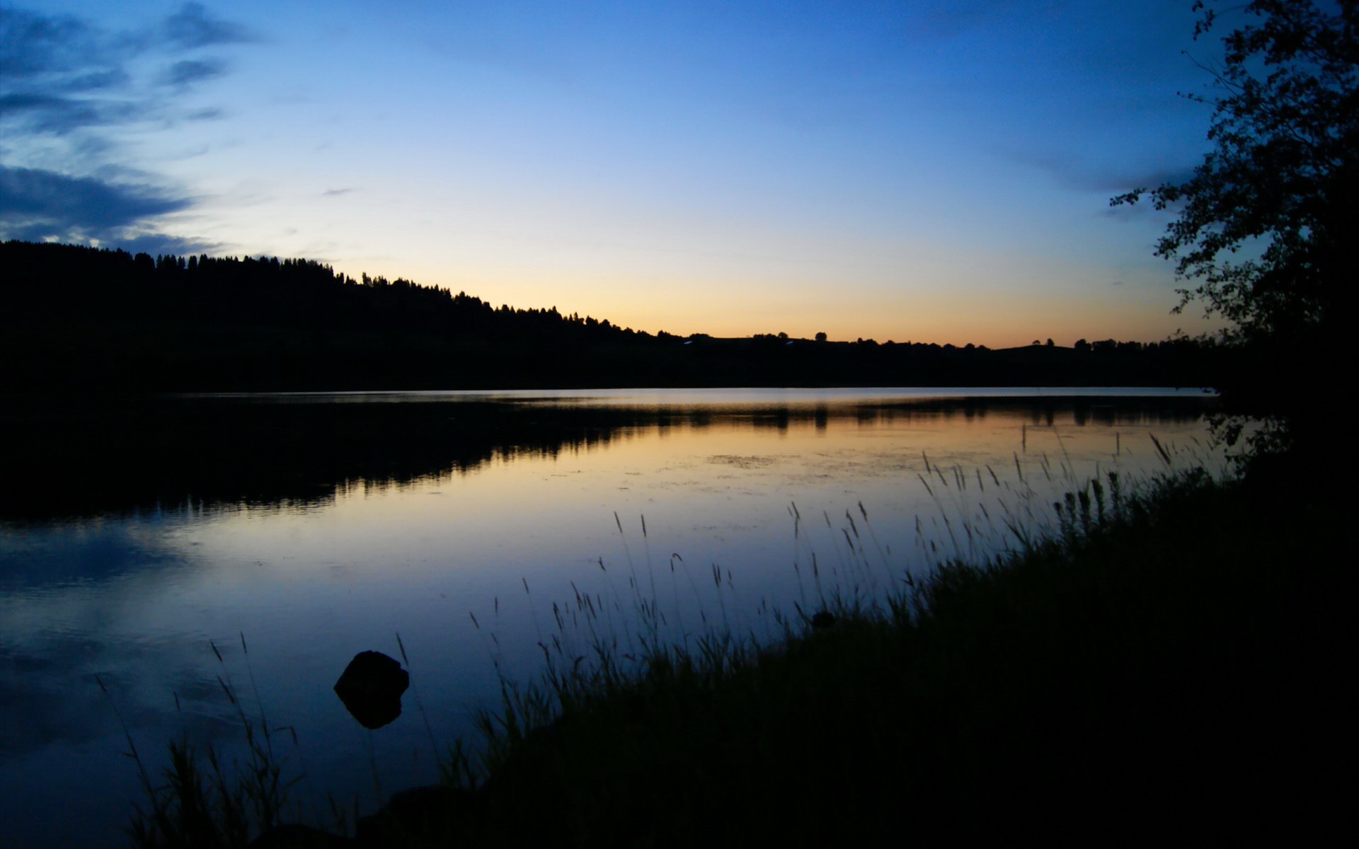 开云体育APP下载-跨界风云，广东队奇迹之夜，压哨狂潮席卷雄鹿